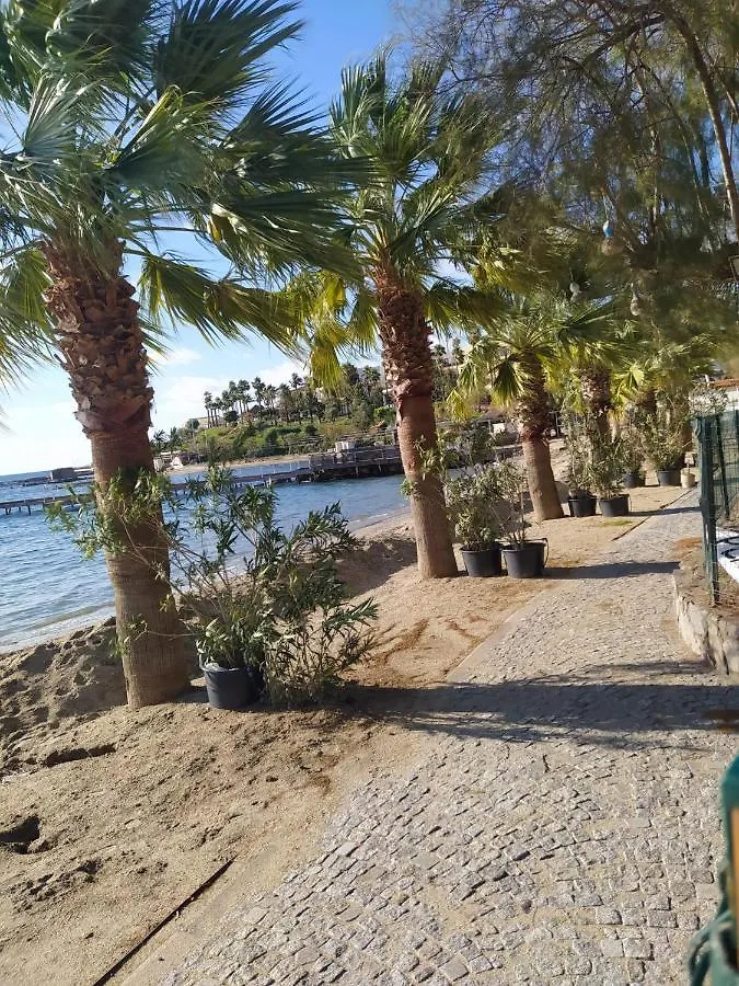 Platin Residence Bodrum Asarlik
